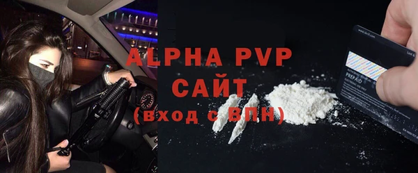 гидра Кодинск