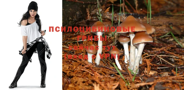 МДПВ Киренск