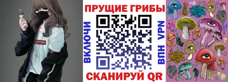 Галлюциногенные грибы прущие грибы  Купить где  Дно 