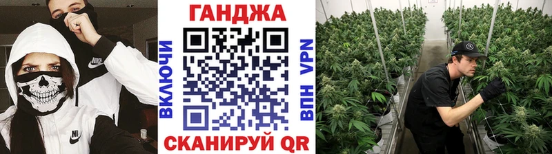 Марихуана планчик Купить Дно